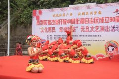 我校舞蹈隊受邀參加梧州市萬秀區錢鑒社區舉辦的“文化惠民 幸福錢鑒”元旦
